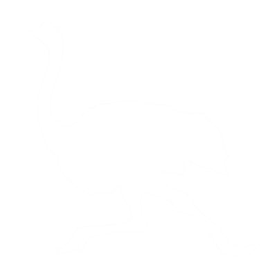 Picture of Ostrich
