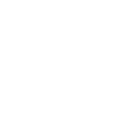 Picture of Pigeon Race